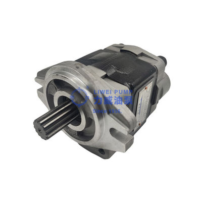 Desde 1956 pompa hydráulica 91E71-10200 69101-FK281 de las piezas de la carretilla elevadora de la marca de Hewei